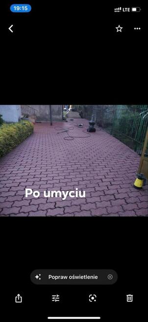 Oferuje Prace porządkowe w domu i ogrodzie