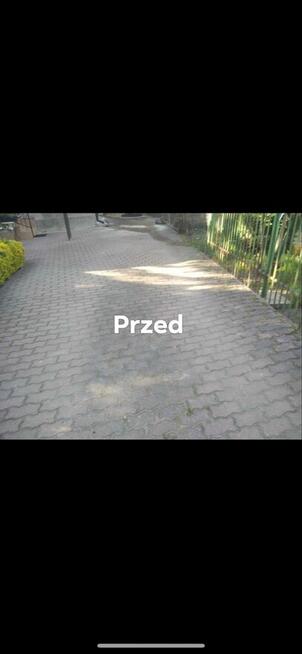 Oferuje Prace porządkowe w domu i ogrodzie