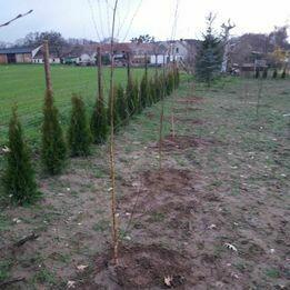 Sprzedam działkę budowlaną