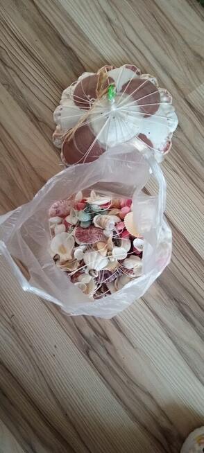 Wymienię muszle morskie