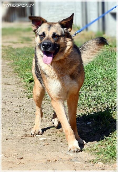 Ayra - z pozoru twarda z niej dziewucha