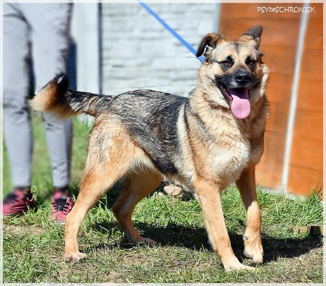 Ayra - z pozoru twarda z niej dziewucha