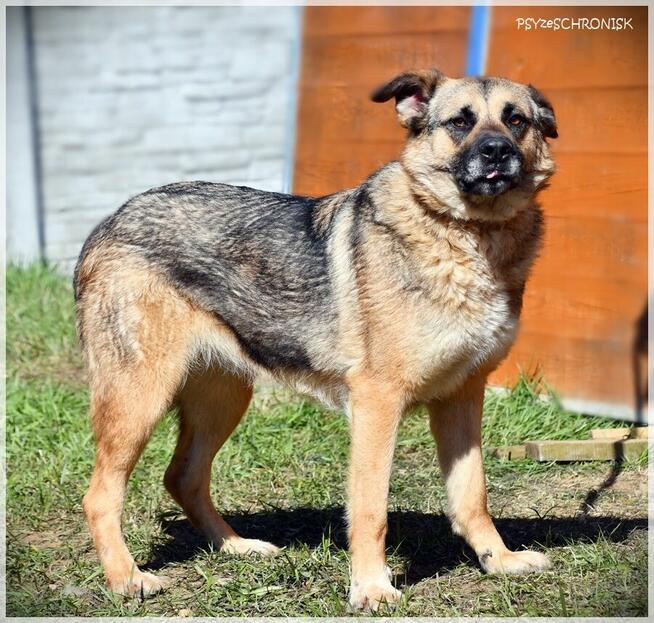 Ayra - z pozoru twarda z niej dziewucha