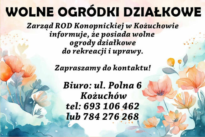 Wolne ogródki działkowe! ROD Konopnickiej w Kożuchowie