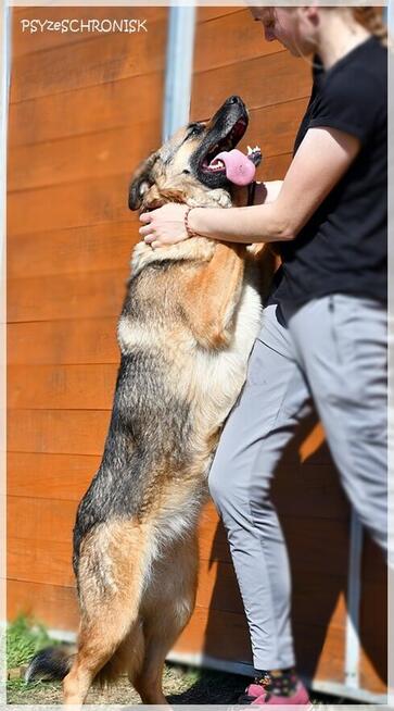 Ayra - z pozoru twarda z niej dziewucha