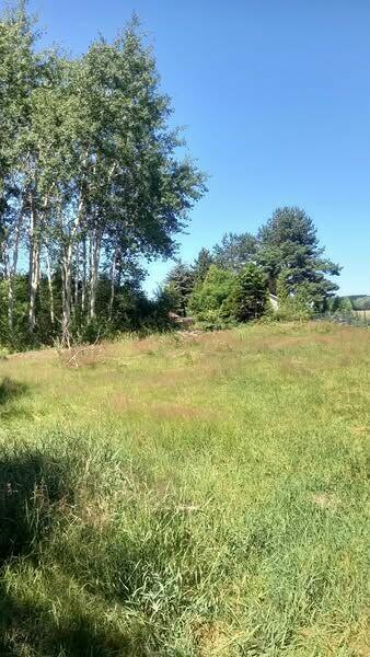 działka mieszkaniowo sługowa