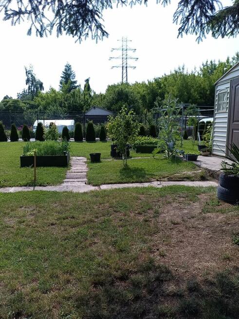 Działka rekreacyjna