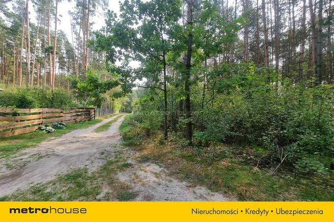 Działka Mierzwice-Kolonia