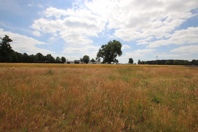Działka budowlana z WZ Ruszków II