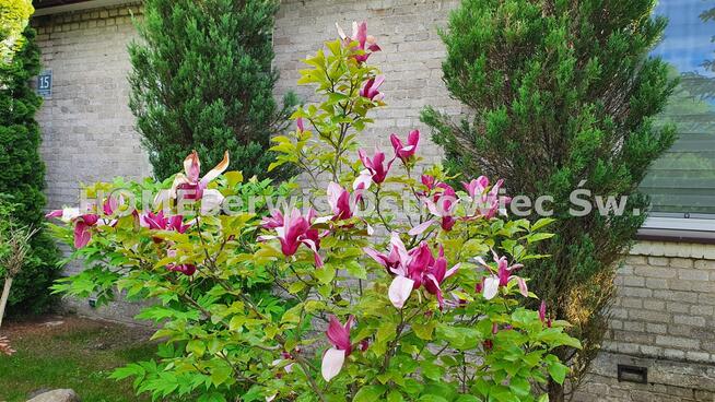 Dom Grabowiec gm. Rzeczniów