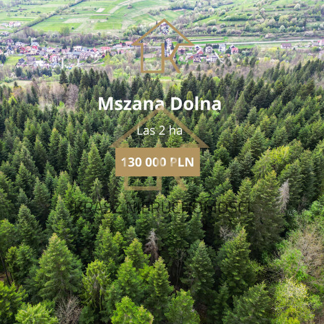 Gęsty las 2 ha w Mszanie Dolnej