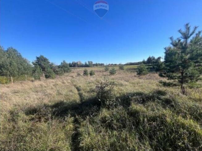 Działka rekreacyjna w niedalekim otoczeniu jeziora