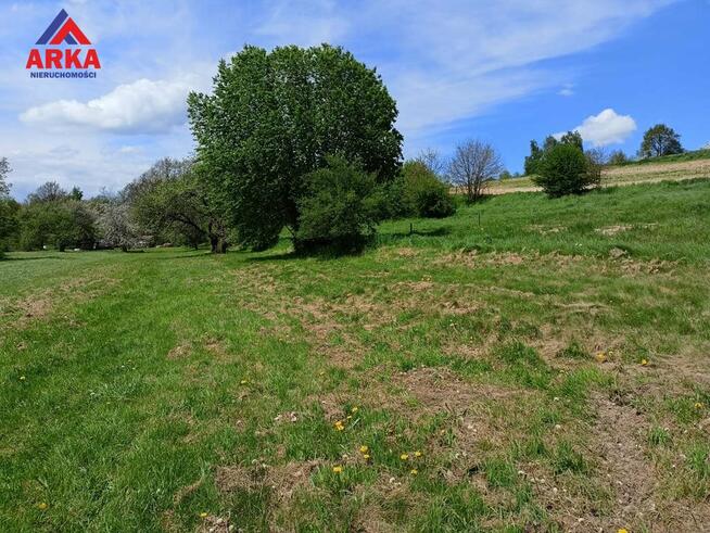 Działka usługowa Zegartowice gm. Raciechowice