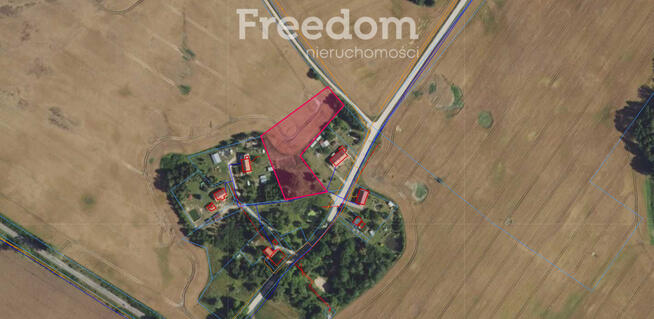 Działka 5 710 m² – przestrzeń i natura