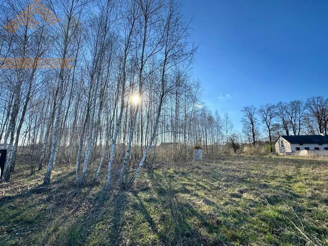 Działka budowlana Pabianice