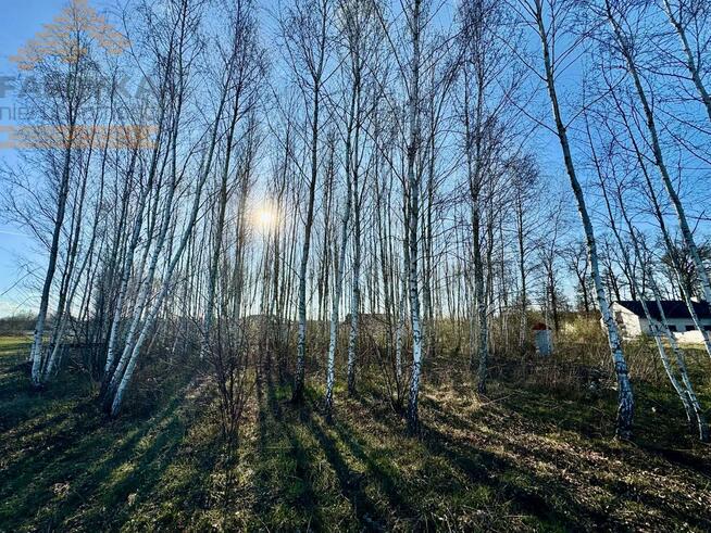 Działka budowlana Pabianice