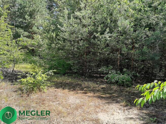 Działka rekreacyjna z prawem zabudowy