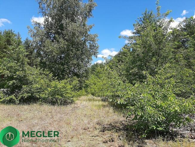 Działka rekreacyjna z prawem zabudowy