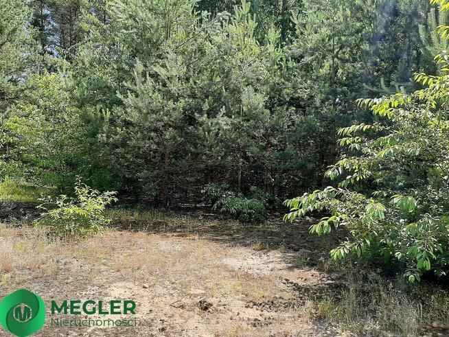 Działka rekreacyjna z prawem zabudowy