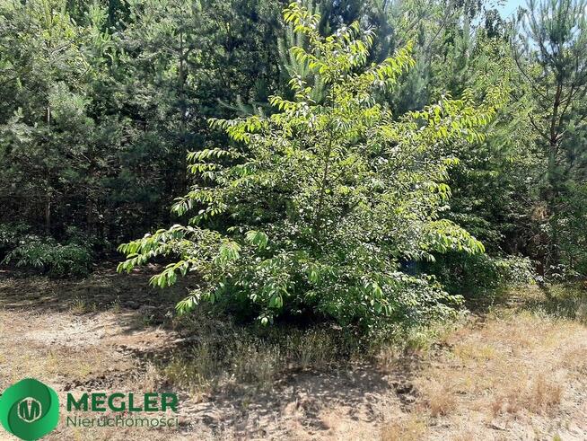 Działka rekreacyjna z prawem zabudowy