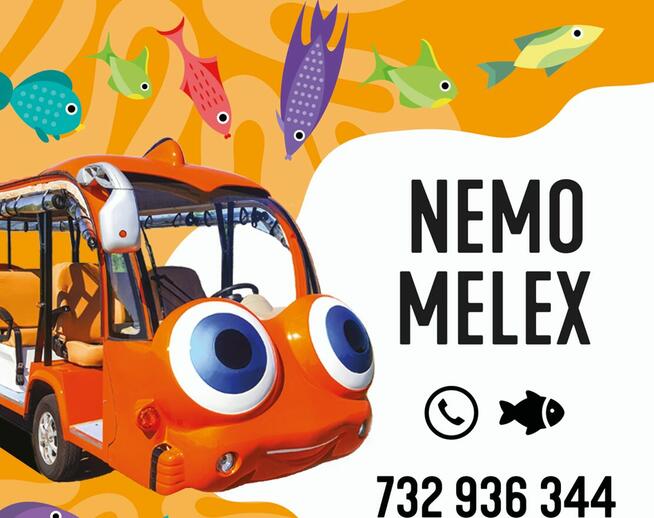 Melex Sztutowo -Świder Melex Tel. 732 936 269
