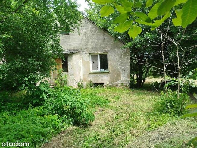 DOM W SERCU NATURY|PODSZKODZIE |OK. 200 m² | DZIAŁKA 3848 m²