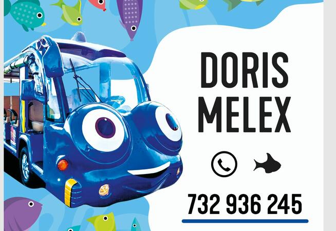 Melex Sztutowo -Świder Melex Tel. 732 936 269