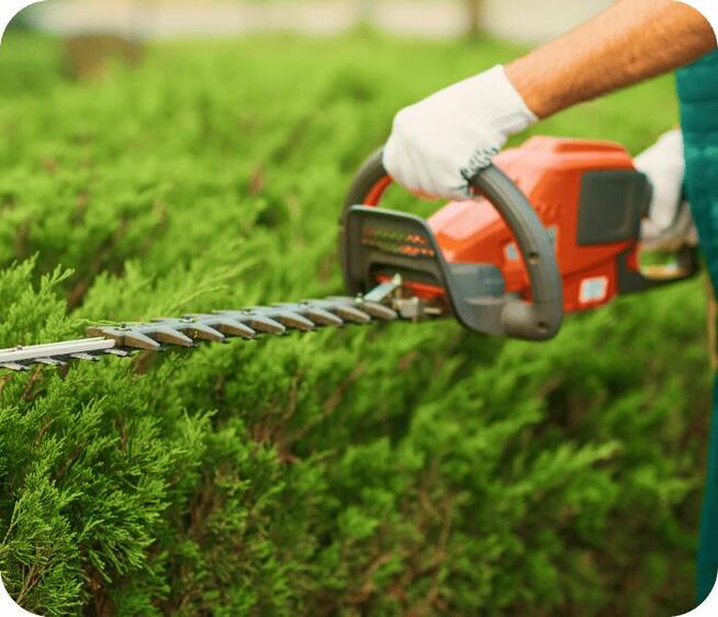 Ogrodnik Do Wynajęcia