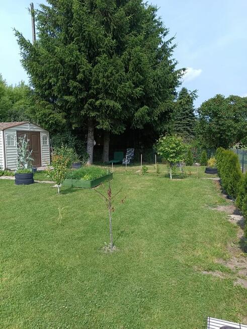 Działka rekreacyjna