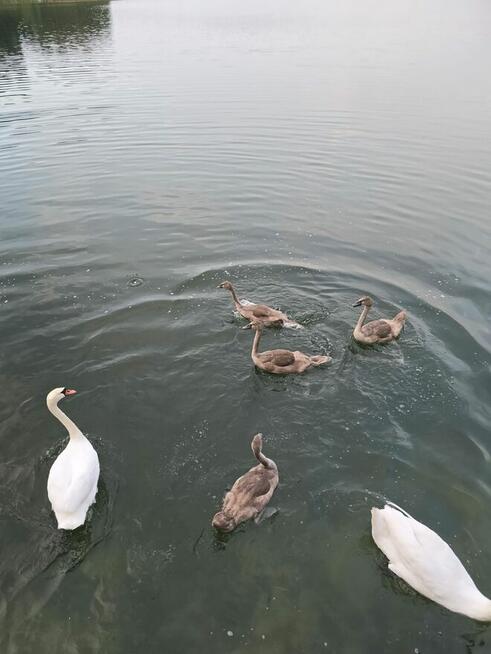 Kawa z widokiem na jezioro? Mazurskie pokoje czekają!