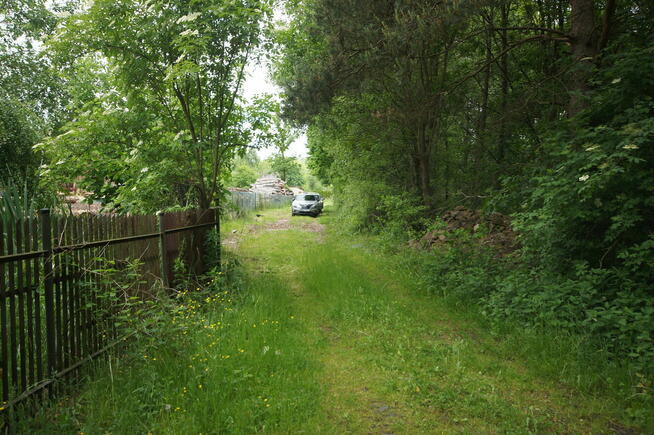 W otoczeniu lasu z własnym stawem - idealne miejsce na dom