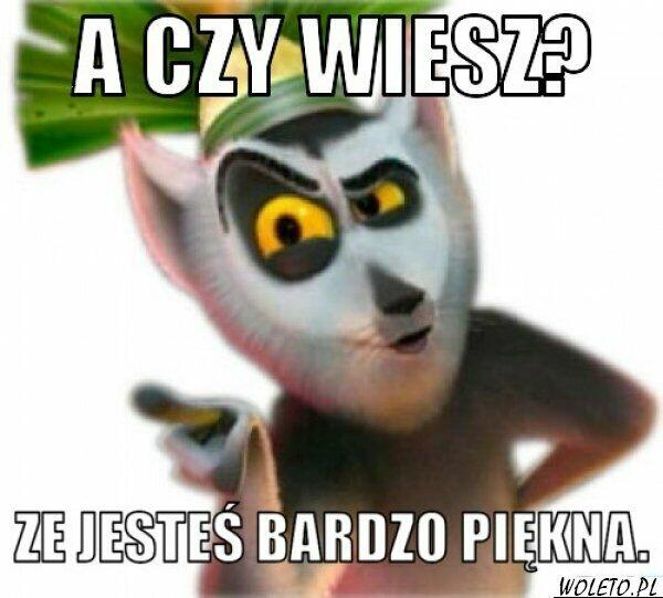 Szukam na wieczorne spacery