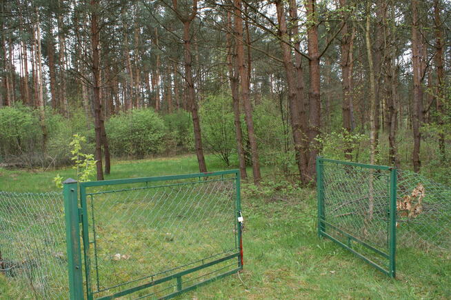 Sprzedam działkę rekreacyjną 29a w Czerwonej Woli, Sieniawa