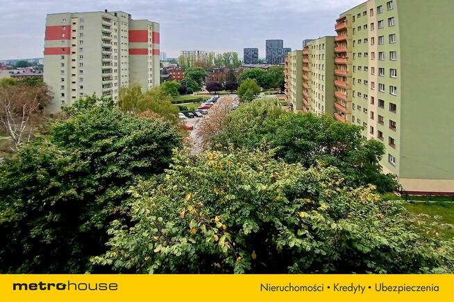 Katowice mieszkanie z potencjałem ładna okolica
