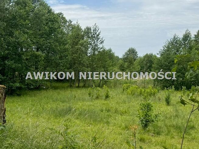 Działka rolna Przerośl, Wielka