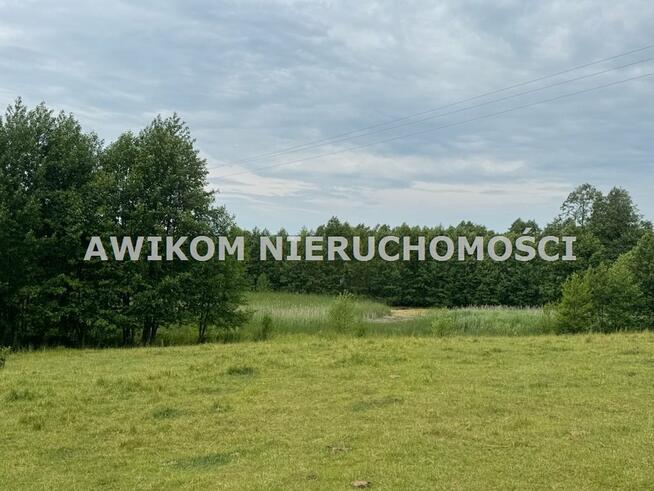 Działka rolna Przerośl, Wielka