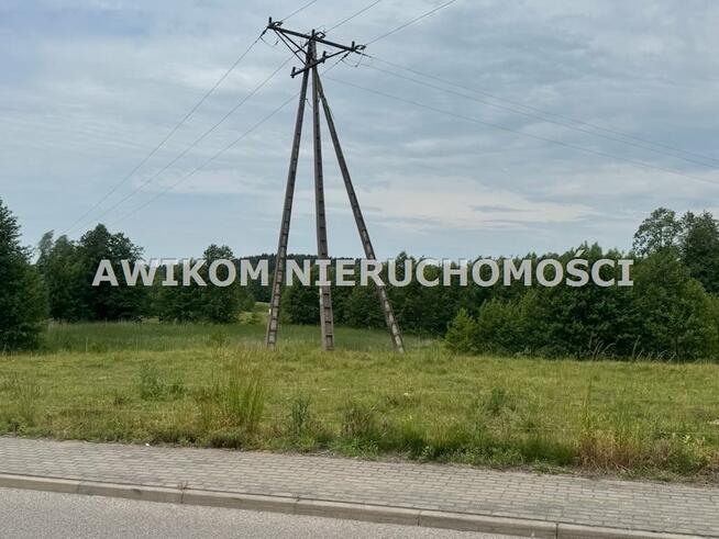 Działka rolna Przerośl, Wielka