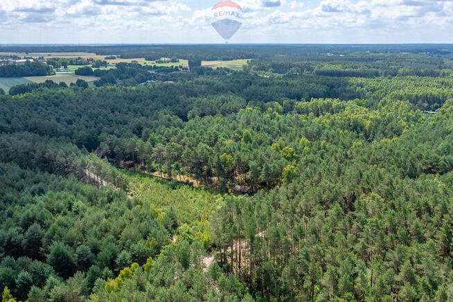 Dom letni w lesie z dużą działką, Józefów