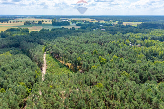Dom letni w lesie z dużą działką, Józefów