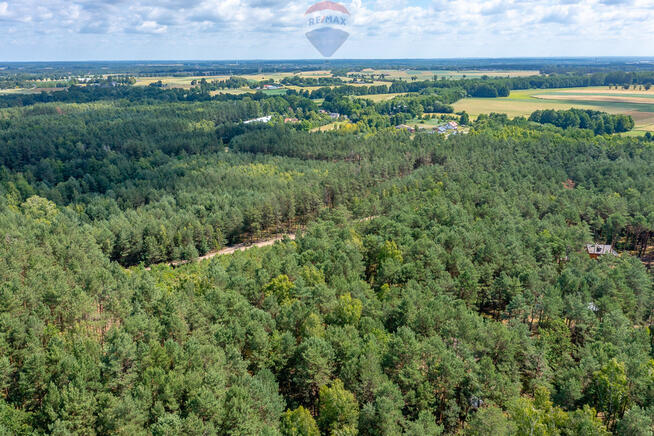 Dom letni w lesie z dużą działką, Józefów