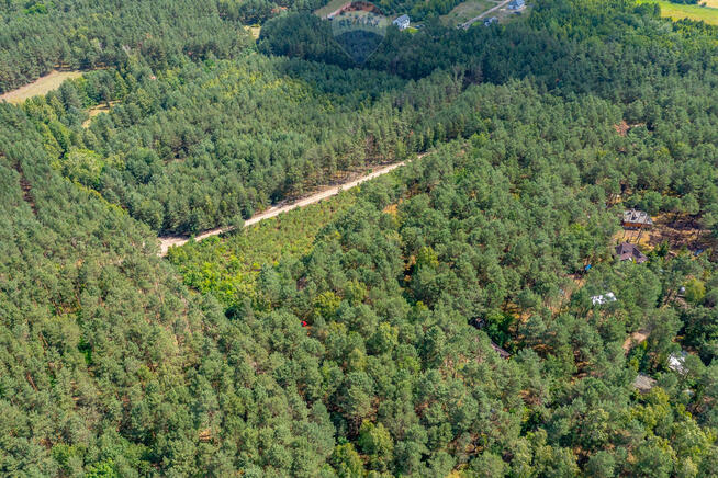 Dom letni w lesie z dużą działką, Józefów