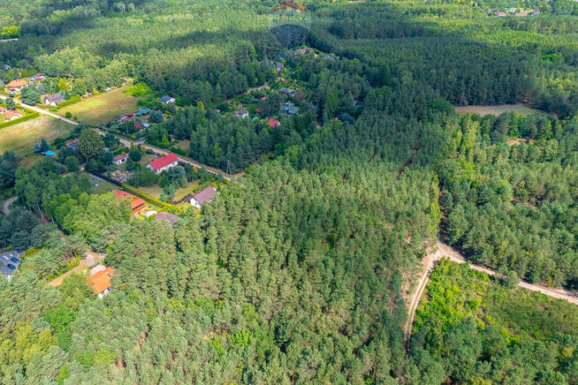 Dom letni w lesie z dużą działką, Józefów