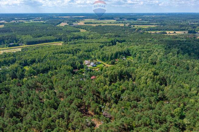 Dom letni w lesie z dużą działką, Józefów