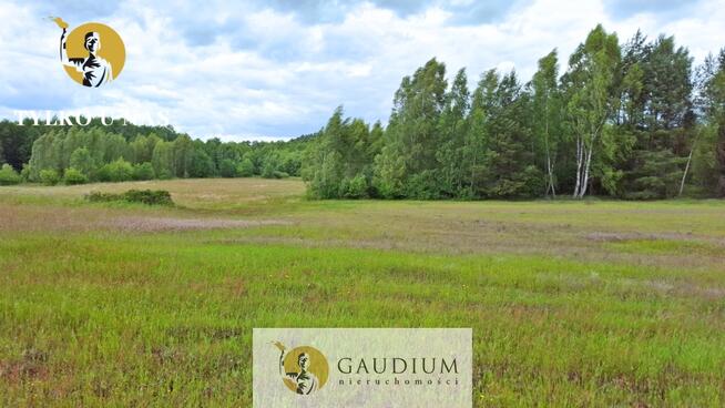 DUŻA DZIAŁKA ROLNA Z LASEM - MĘCIKAŁ gm. Brusy