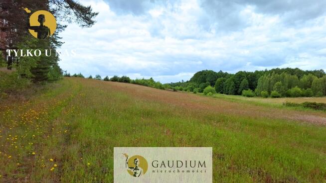 DUŻA DZIAŁKA ROLNA Z LASEM - MĘCIKAŁ gm. Brusy