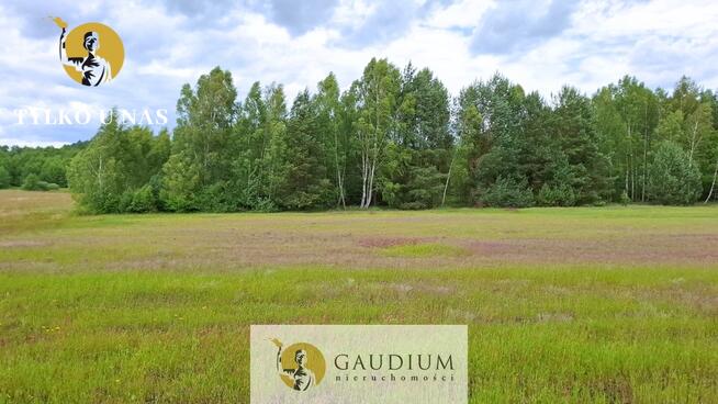 DUŻA DZIAŁKA ROLNA Z LASEM - MĘCIKAŁ gm. Brusy