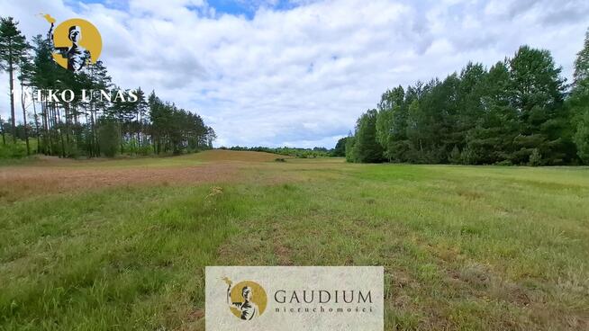 DUŻA DZIAŁKA ROLNA Z LASEM - MĘCIKAŁ gm. Brusy