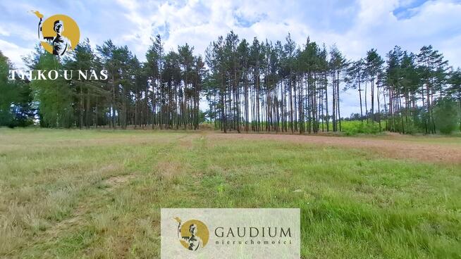 DUŻA DZIAŁKA ROLNA Z LASEM - MĘCIKAŁ gm. Brusy