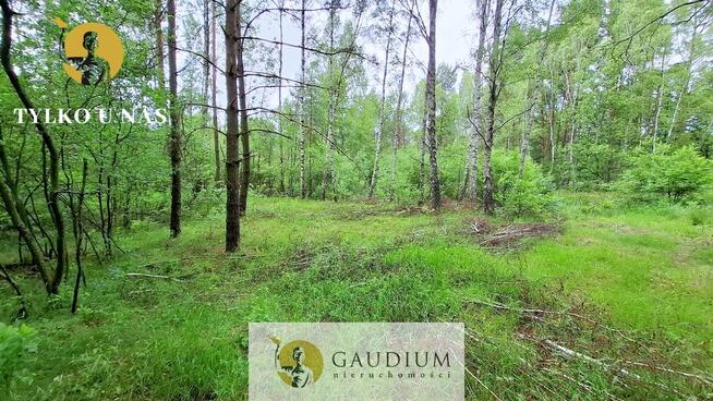 DUŻA DZIAŁKA ROLNA Z LASEM - MĘCIKAŁ gm. Brusy