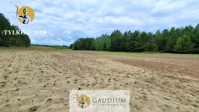 DUŻA DZIAŁKA ROLNA Z LASEM - MĘCIKAŁ gm. Brusy